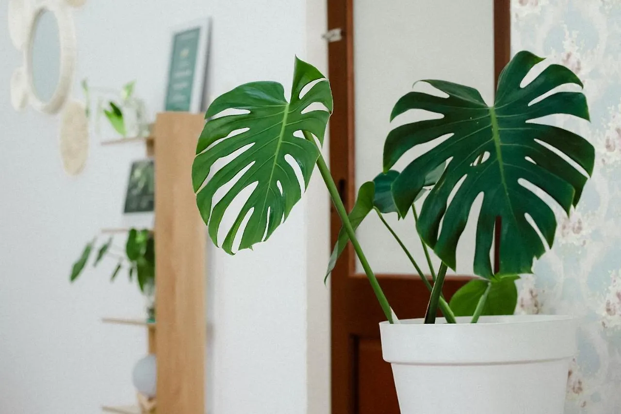 Apartmán Lavuta Home Vũng Tàu