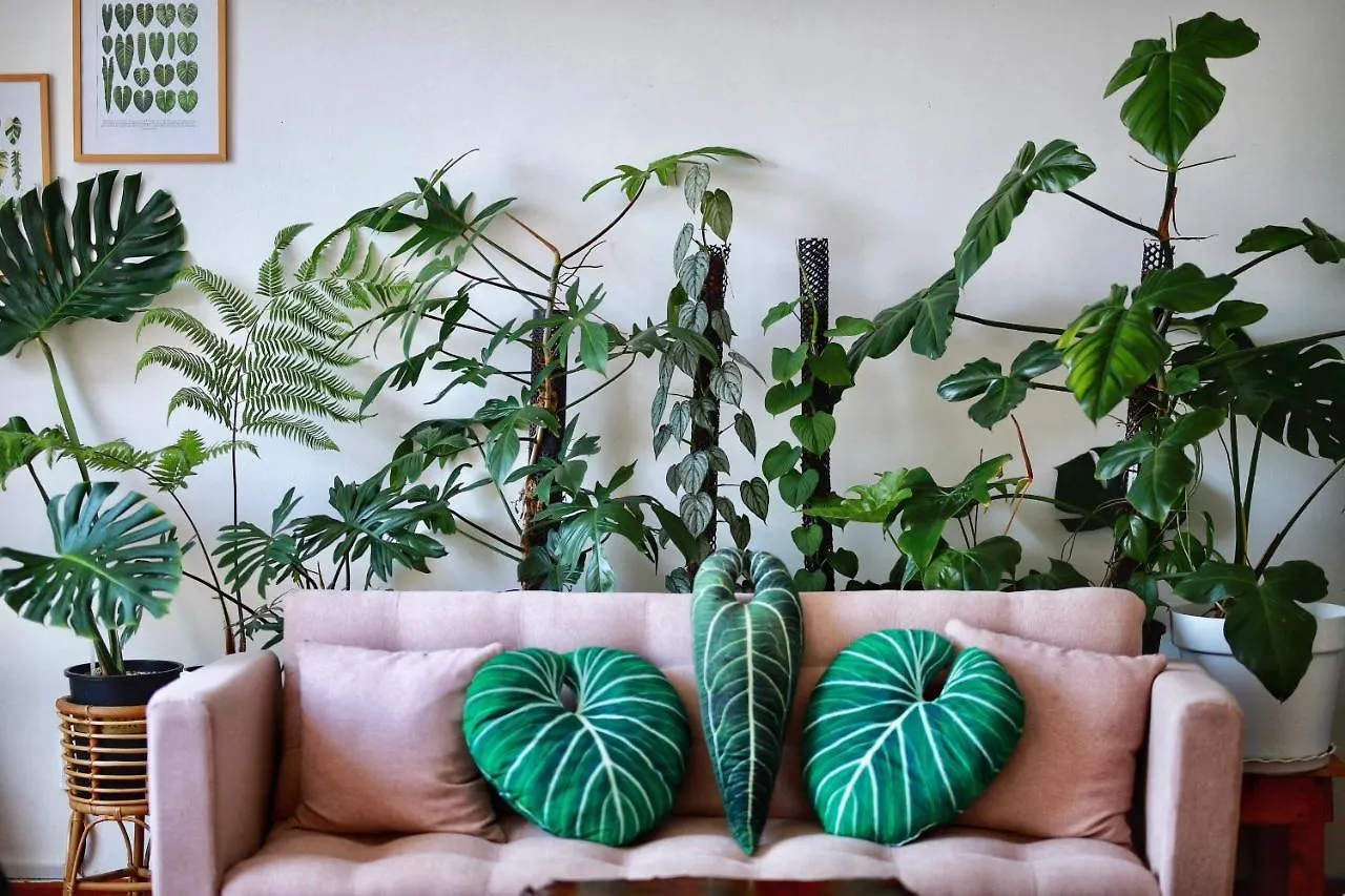 Lavuta Home Vũng Tàu 0*,