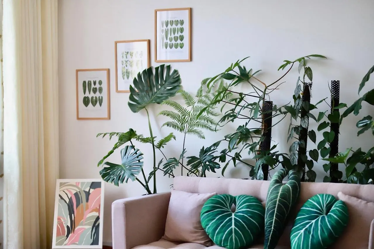 Apartmán Lavuta Home Vũng Tàu Vietnam