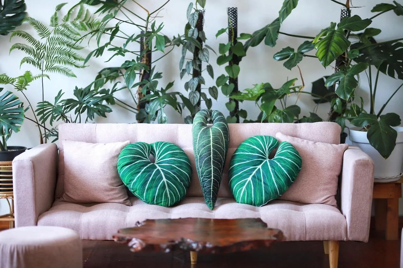 Lavuta Home Vũng Tàu Apartmán