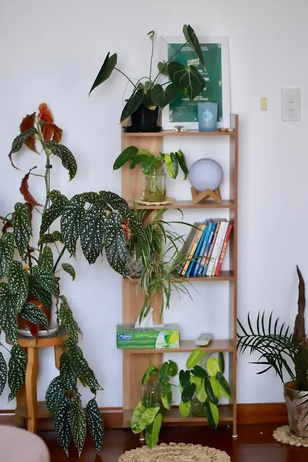Lavuta Home Vũng Tàu Apartmán