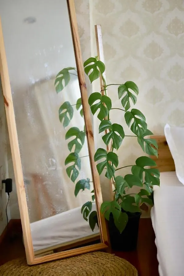 Lavuta Home Vũng Tàu 0*,