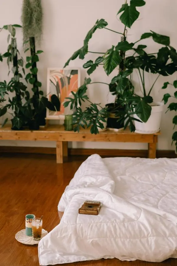 Lavuta Home Vũng Tàu