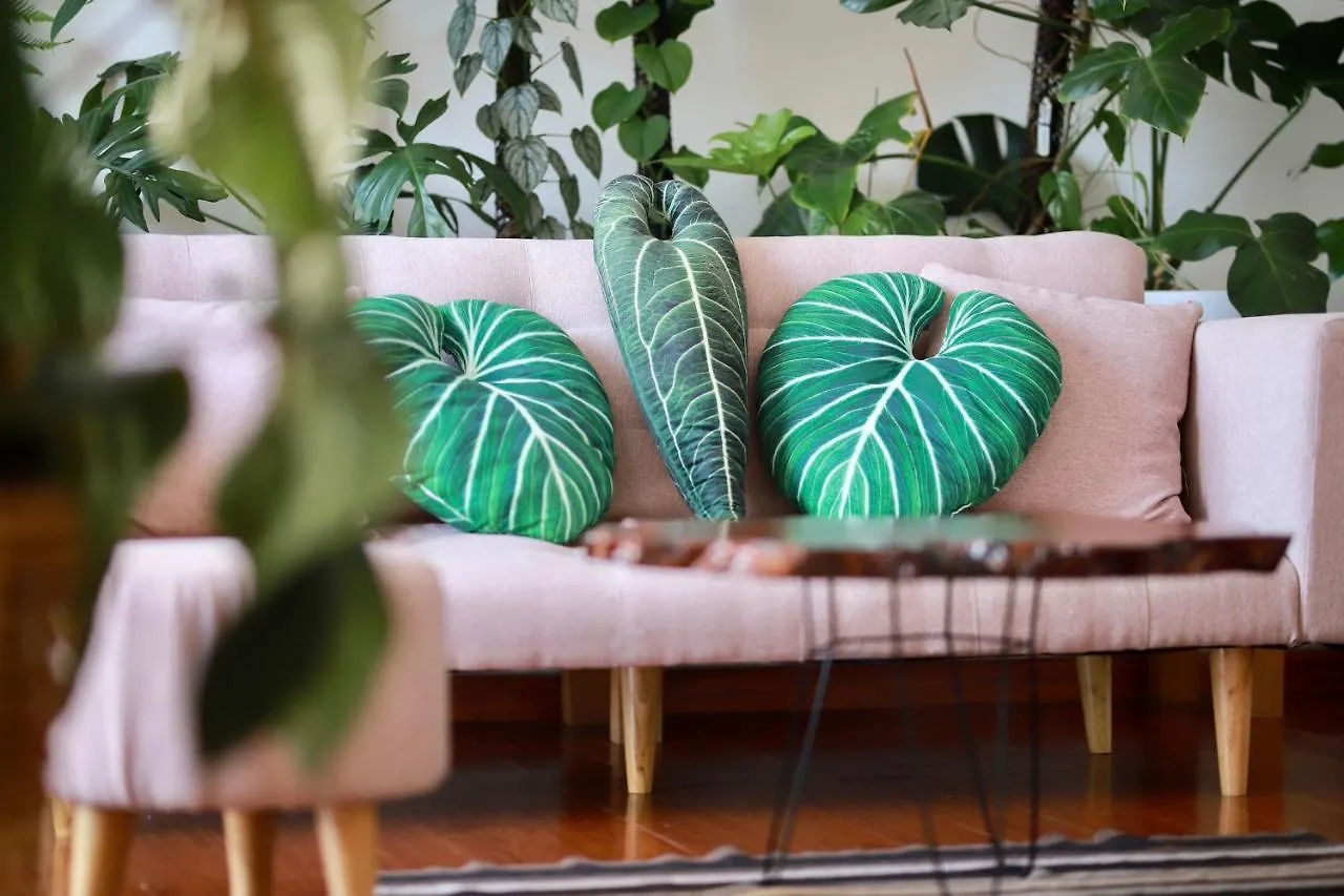 Lavuta Home Vung Tau Vietnam