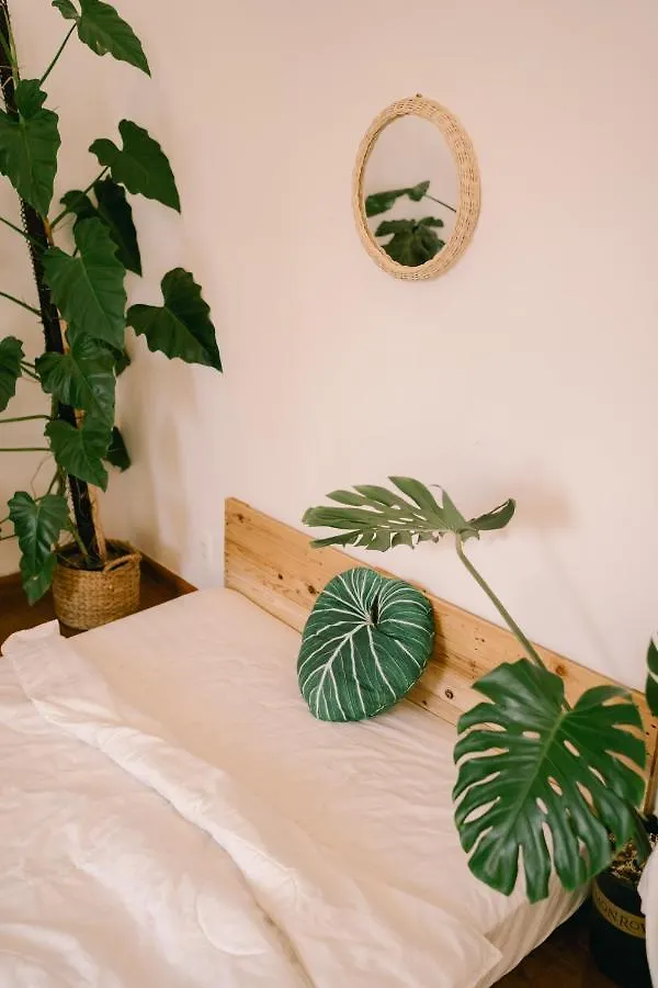Lavuta Home Vung Tau