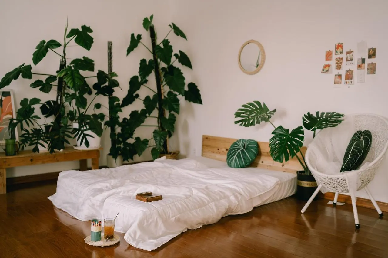 Lavuta Home Vung Tau