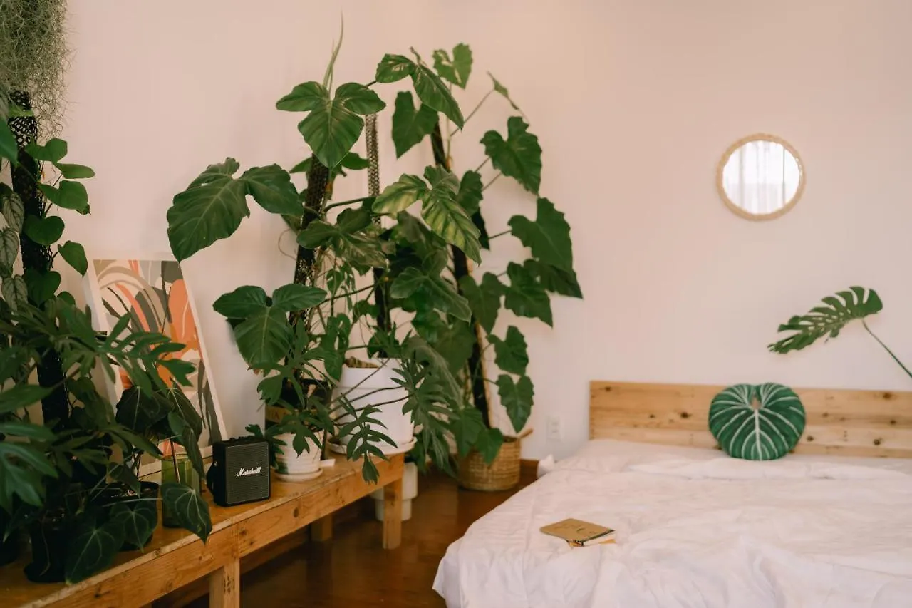 Lavuta Home Vung Tau